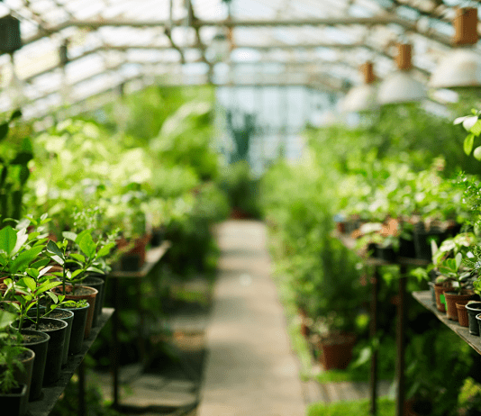 De voordelen van een tuinkas De voordelen van een tuinkas